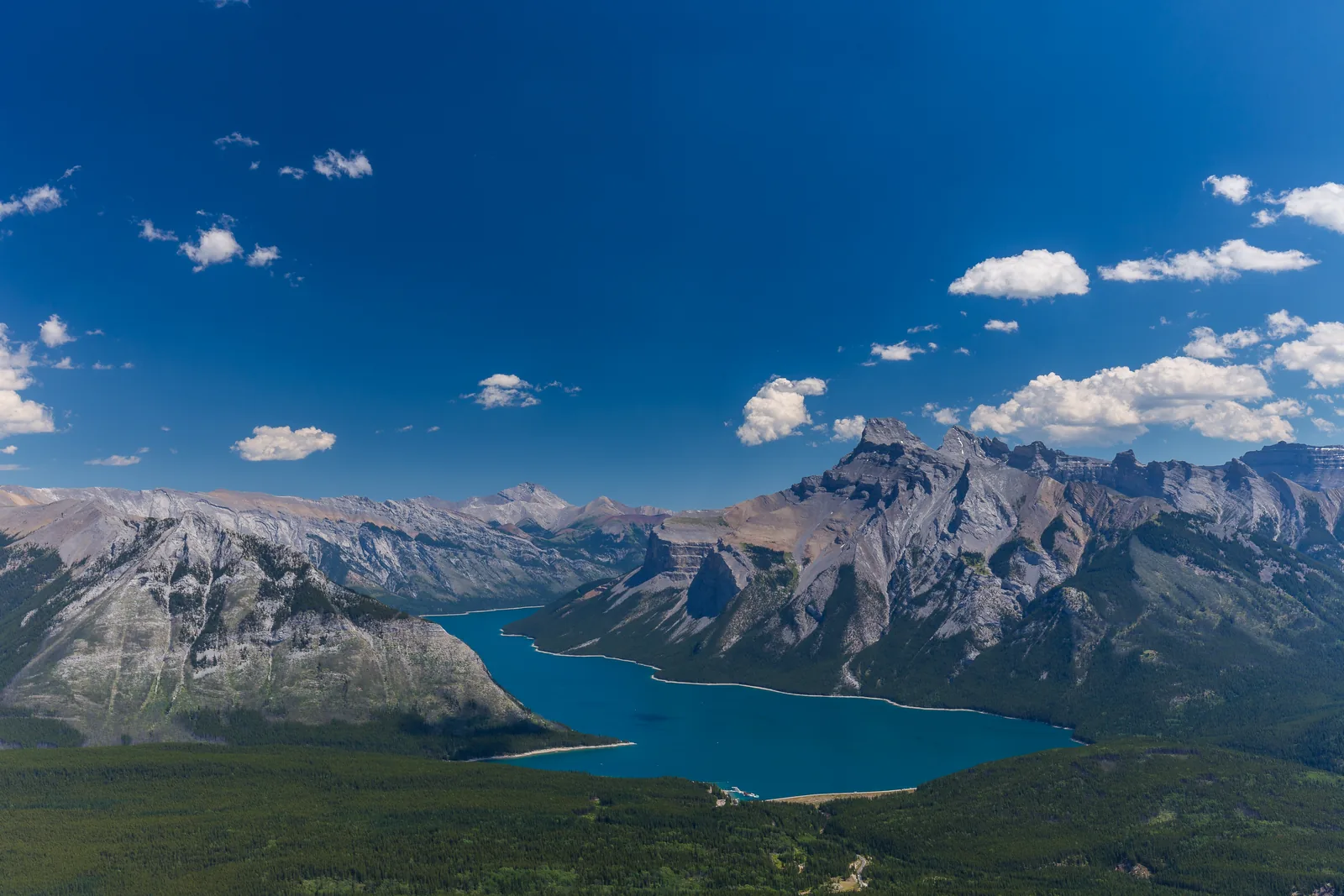 The ACCESS Surgical Network connects patients and surgeons across Canada