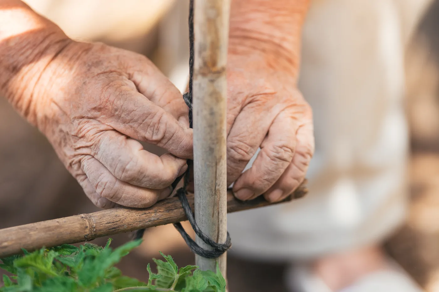 A patient moving all their fingers freely after private trigger finger surgery